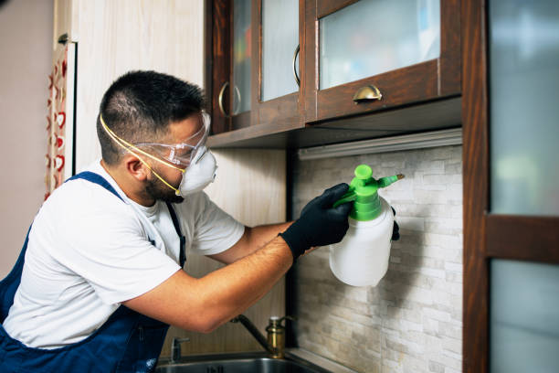 Best Affordable Pest Control Services  in Tton, IL