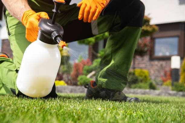 Best Best Pest Control Companies  in Tton, IL