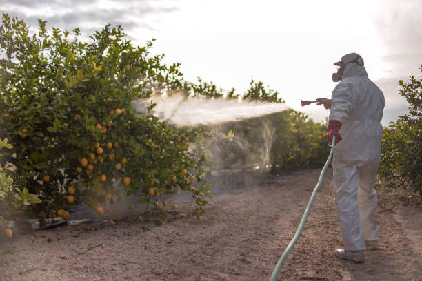 Best Residential Pest Control  in Tton, IL