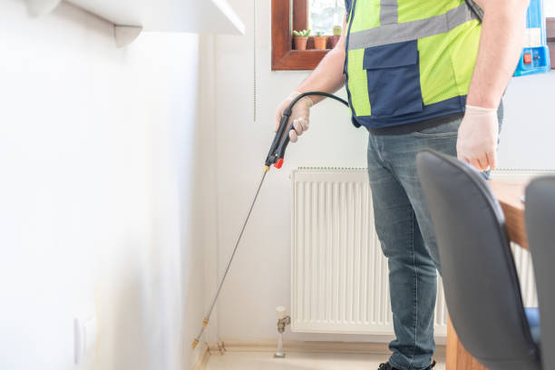 Best Mosquito Control Services  in Tton, IL