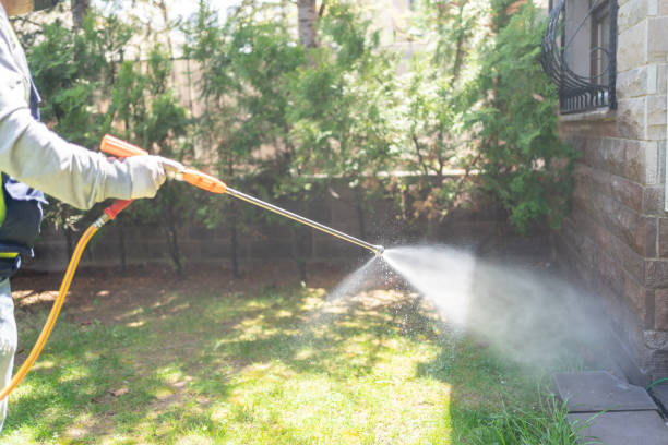 Best Exterminator Services  in Tton, IL