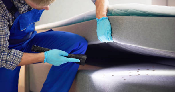 Best Cockroach Control Services  in Tton, IL