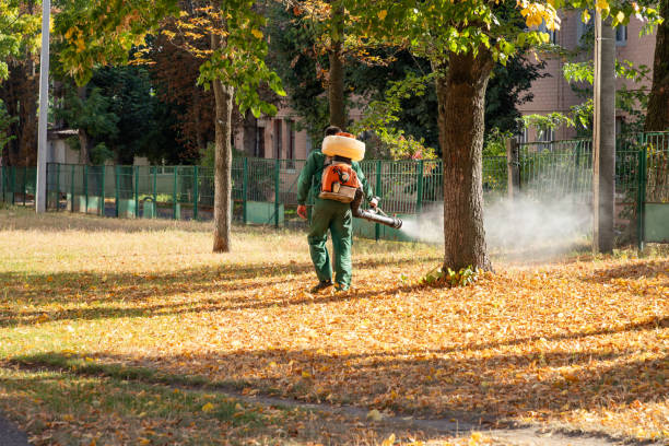 Best Wasp Removal Services  in Tton, IL