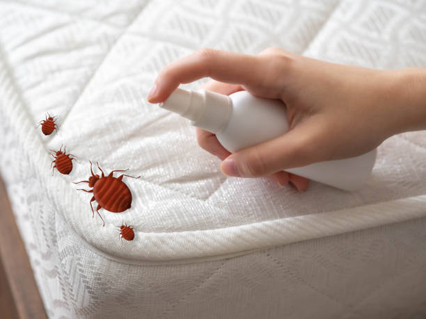 Best Cockroach Control Services  in Tton, IL